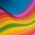 Teilhabe im Hinblick von Rehabilitation und Behindertenorganisationen